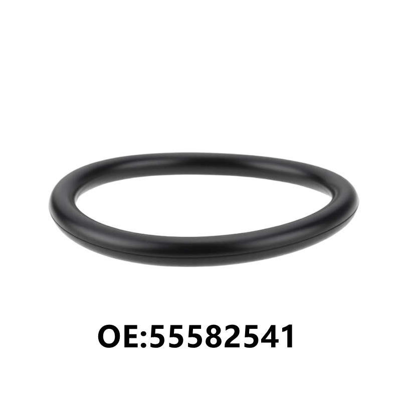 1 Buah 55582541 Cincin Segel T - Tank O-Ring Seal ulasan dan harga